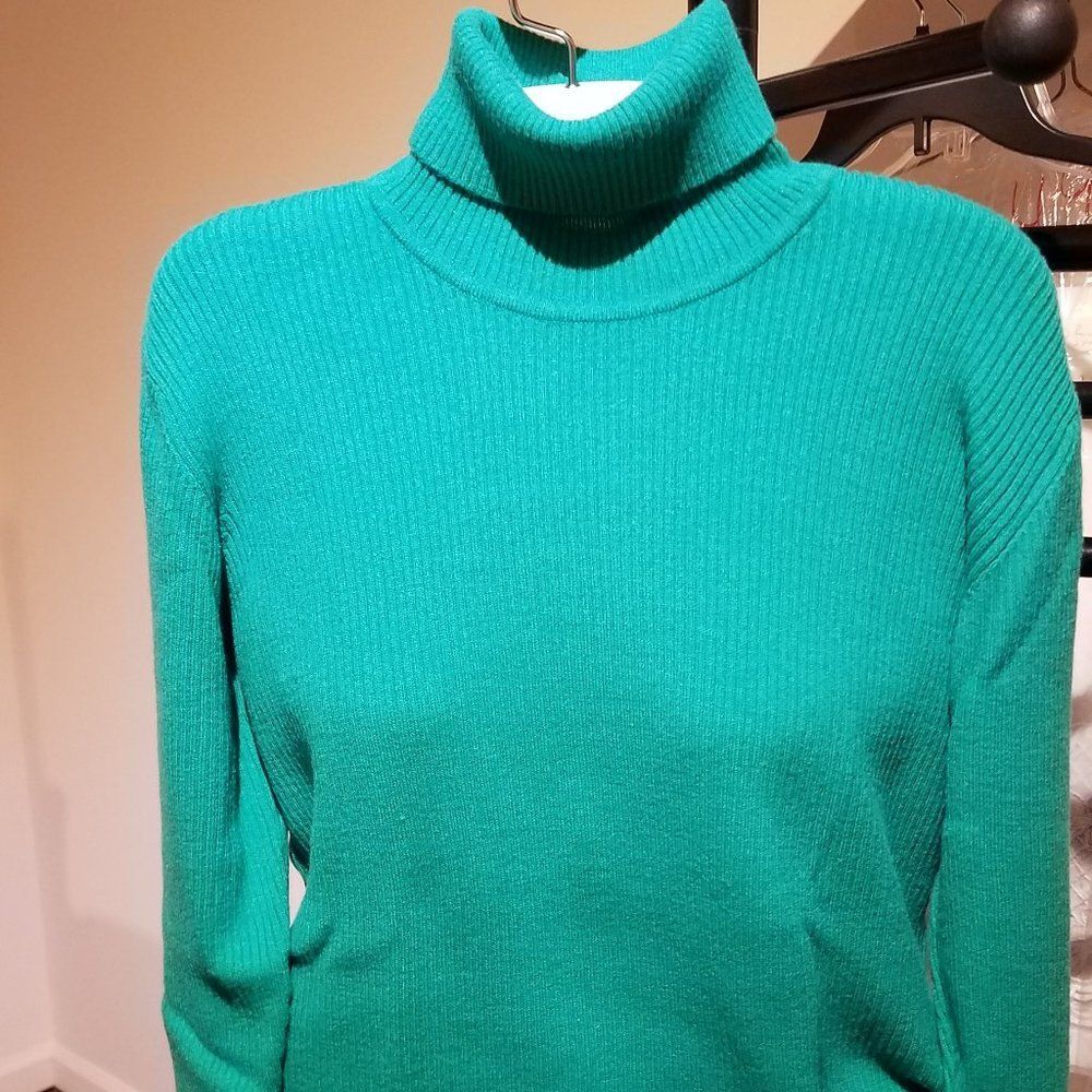 Gianni Sweater turtleneck